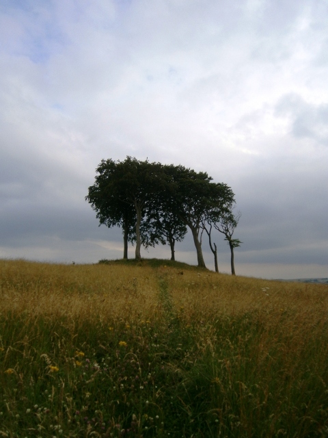 Copt Hill