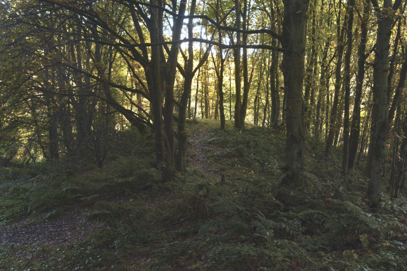Click for full size image of Maiden's Bower (County Durham) (PID:204923) Maiden's Bower (County Durham)