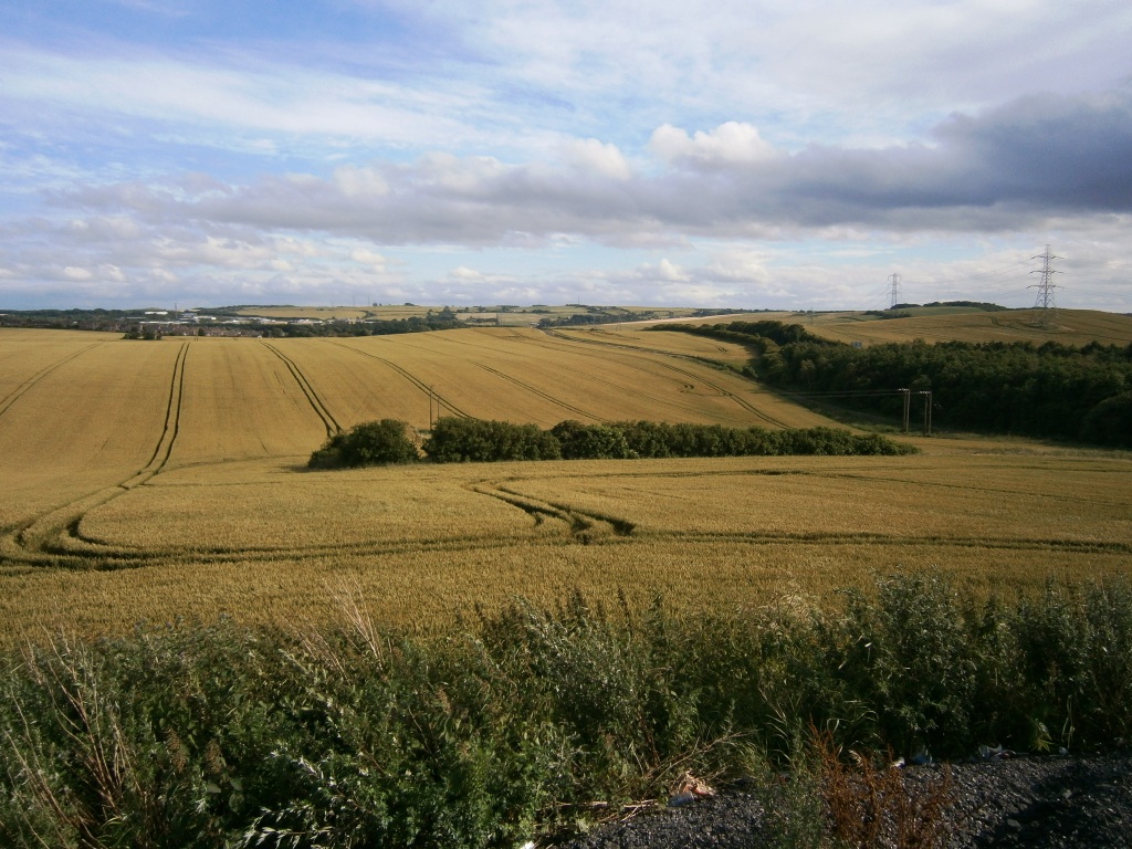 Click for the gallery page to add comments and vote (PID:91599) Offerton Cursus
