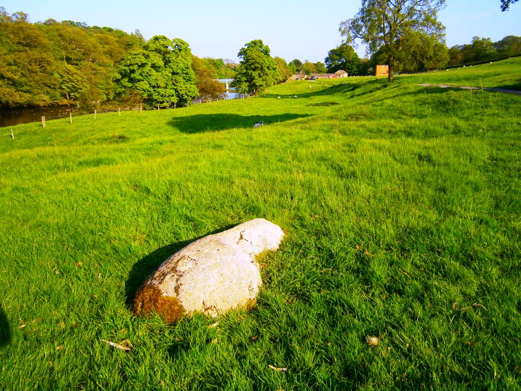 The Sleepy Sheep, Deepdale