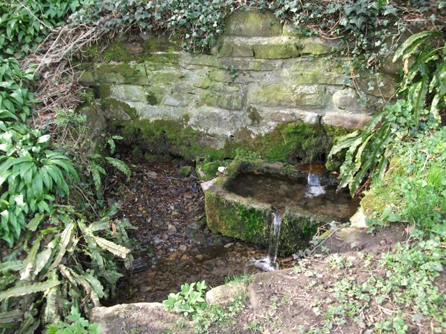 St. Mary's Well (Gainford)