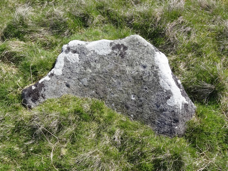 Barningham Moor 12. [ERA-811; SMR/HER D10307] Rock Art : The Megalithic ...