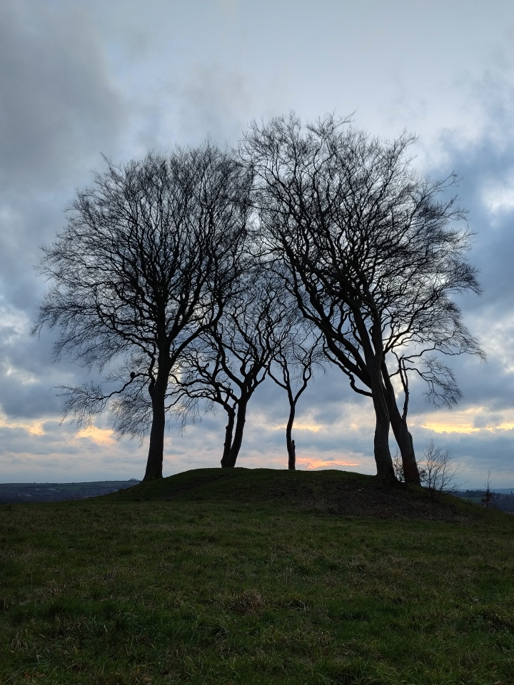 Copt Hill