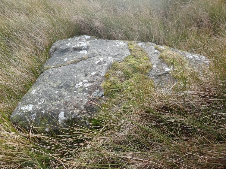Goldsborough Rigg 10