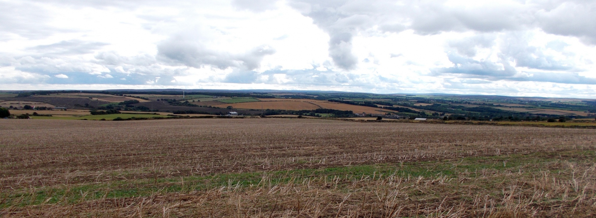 Click for the gallery page to add comments and vote (PID:231706) Street House Farm