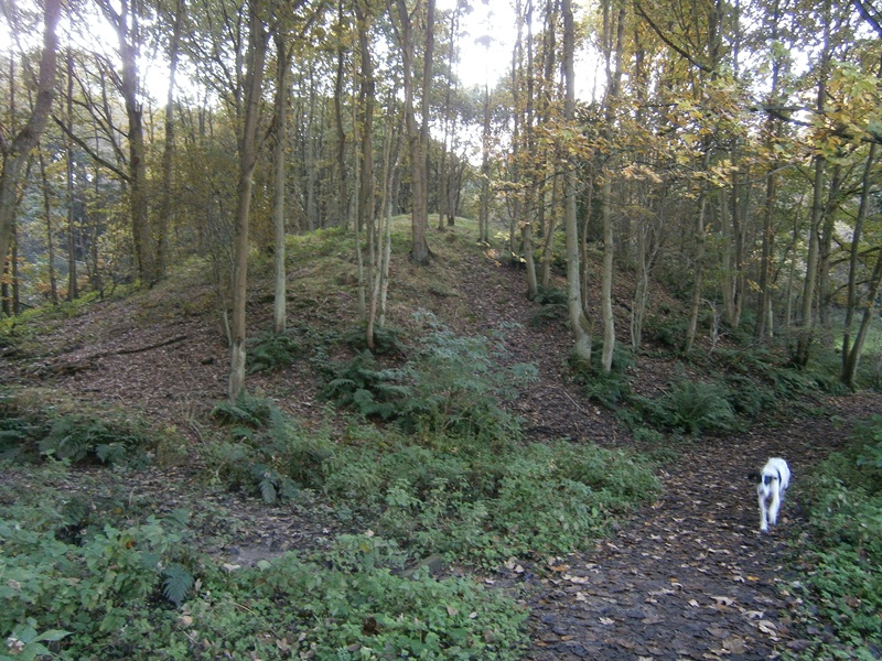 Maiden's Bower (County Durham)