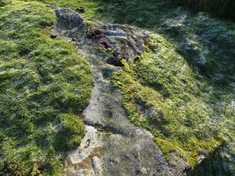 Lartington, The Rigg 13 [P&B Brown RIG 10; ERA-942; SAM 31777] Rock Art ...