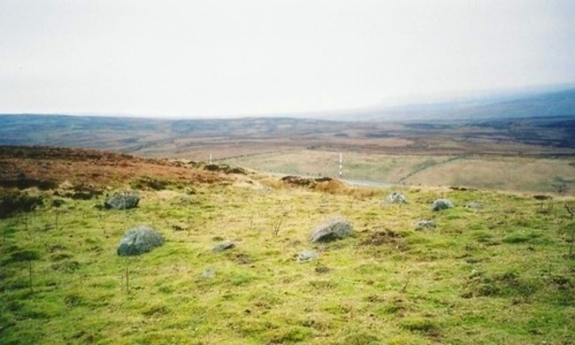 Lune Head