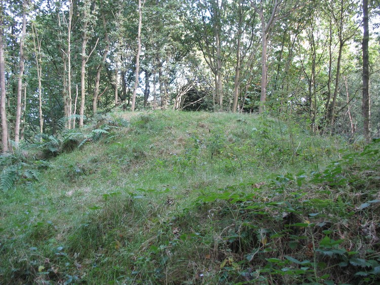 Maiden's Bower (County Durham)