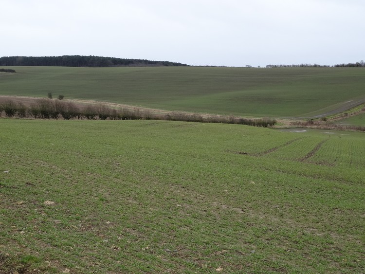 Remains of the long barrow are clearly visible - view from the N-NW (photo taken on February 2016).