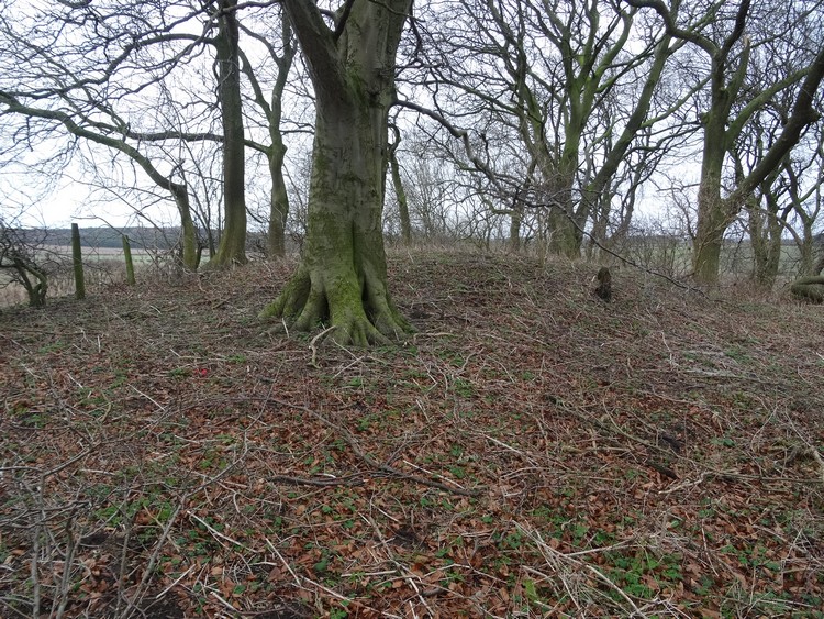 Old Wingate Round Barrow