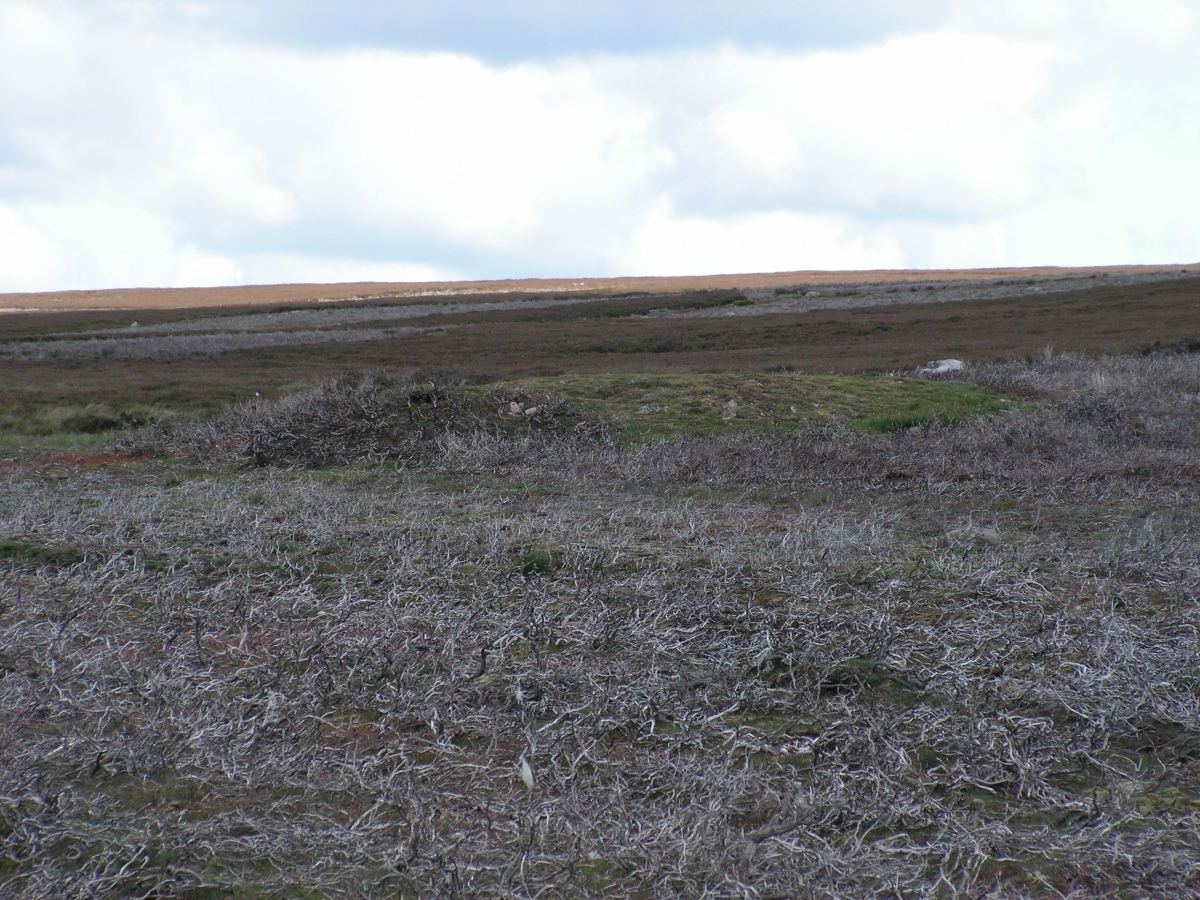 Another Cairn on Crawley Edge taken in 2009