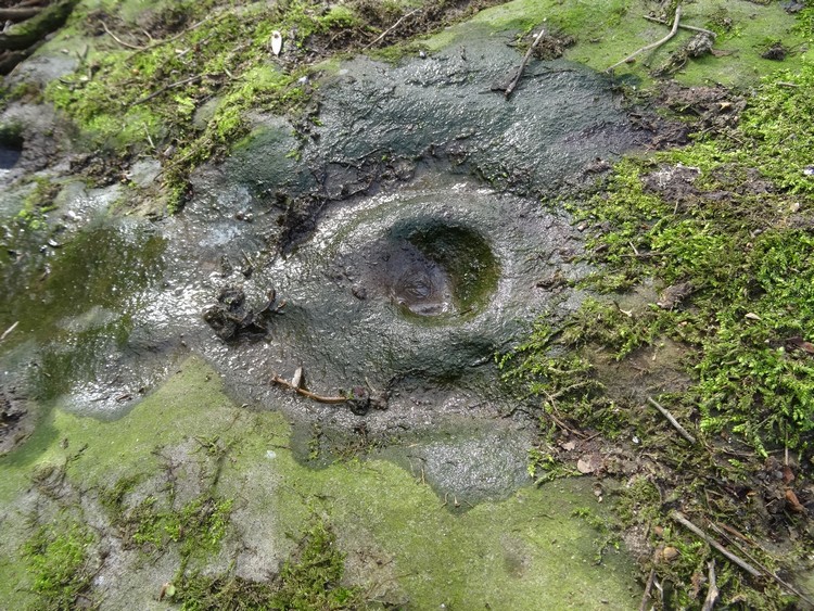 Thorsgill Stone