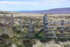 Old Man's Grave (Edmunbyers)