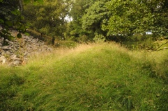 The Castles (County Durham)