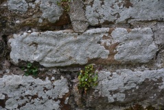 St Mary's Old Church (Brignall)