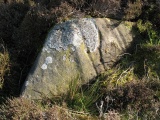 Barningham Moor 114 - PID:163183