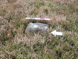 Barningham Moor 51 - PID:163224