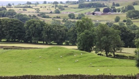 Swinkley Knoll
