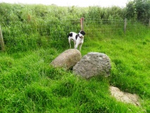 The Mortham Stones