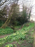 St. Mary's Well (Gainford)
