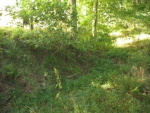 Cockshot Camp