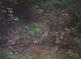 St Farmin's Well - PID:118023