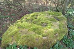 Thorsgill Stone