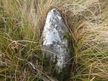 Goldsborough Rigg 9