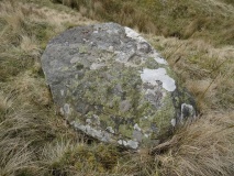 How Beck Head 8