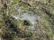 Howgill Grange 13