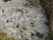 Lartington, The Rigg 7