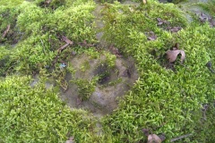 Thorsgill Stone