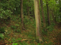 Maiden Castle (Durham)