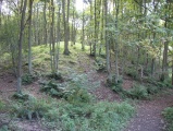 Maiden's Bower (County Durham)