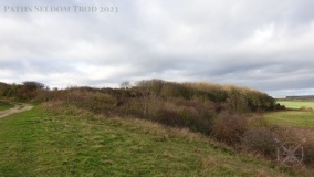 Hawthorn Barrow