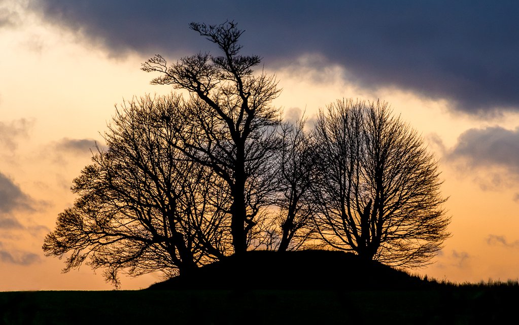 Click for the gallery page to add comments and vote (PID:143035) Fox Hill Tumulus