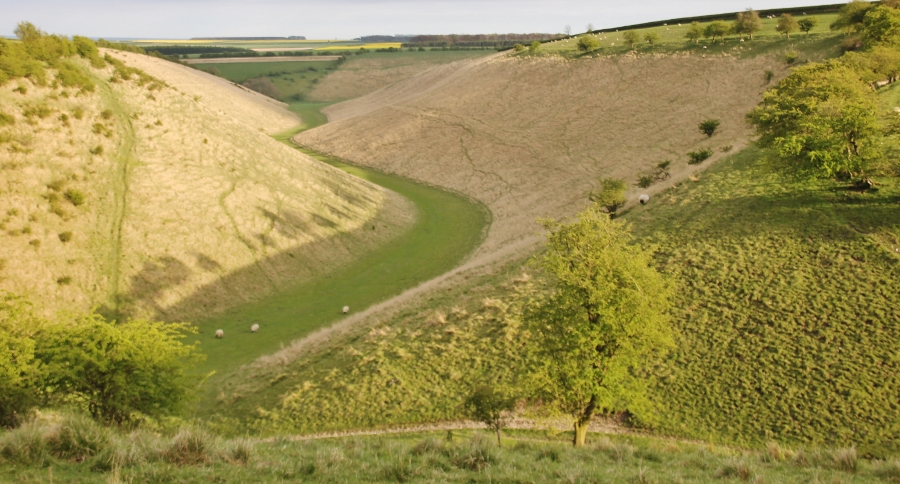 This is Holm Dale, south of Fridaythorpe. Down at the end there is Harper Dale to the left and Horse Dale to the right. These dry valleys of the Yorkshire Wolds were created at the end of the last Ice Age, c.18,000 years ago, when the action of fast-running streams flowing over frozen ground carved out these valleys. The chalk geology here allows water to drain so efficiently that the valleys run 