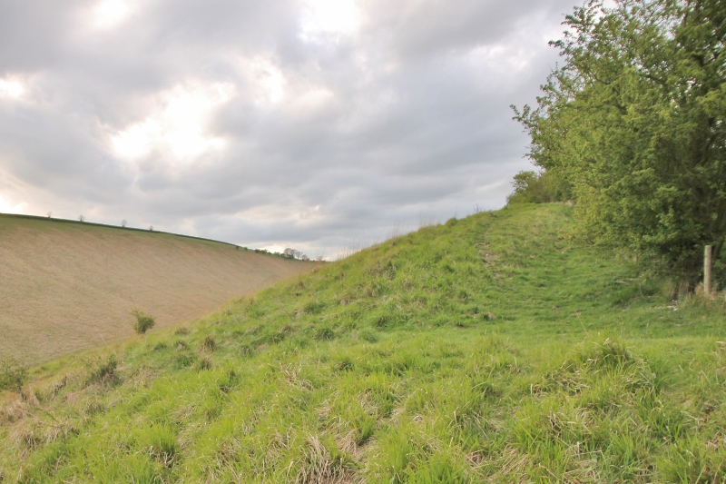 This is on the east side of Holm Dale close to where all three valleys meet. Here the earthwork is about as obvious as it gets in the locality. Two ditches are meeting at this point, one behind the hedge, and the other crossing it at right angles in the foreground.