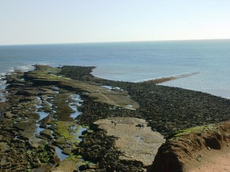 Click for the gallery page to add comments and vote (PID:160357) Spittals, Filey Brigg