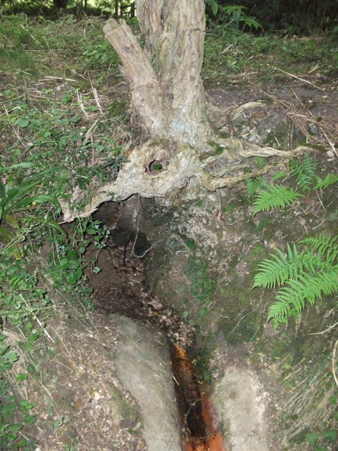 Click for the gallery page to add comments and vote (PID:49773) St Helen's Well (Goodmanham)