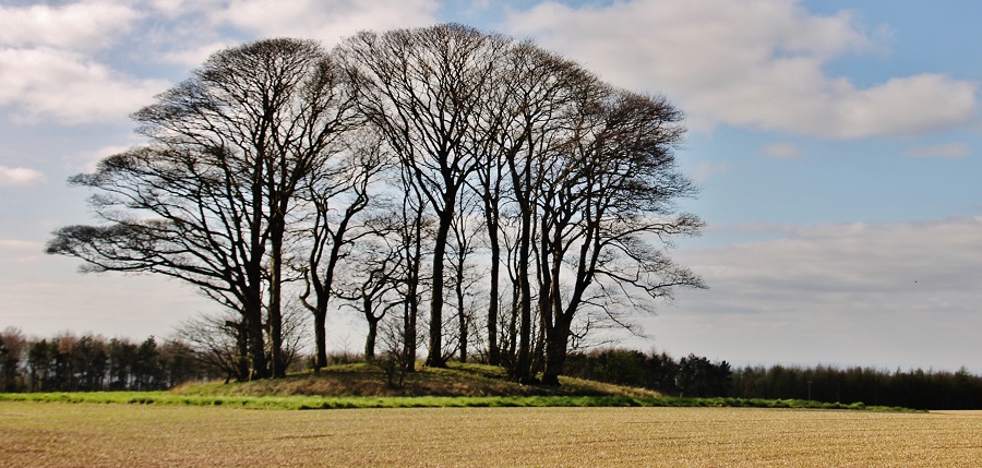 Click for the gallery page to add comments and vote (PID:164174) Callis Wold Barrow Cemetery