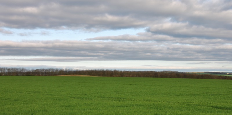 Click for the gallery page to add comments and vote (PID:164214) Southside Mount