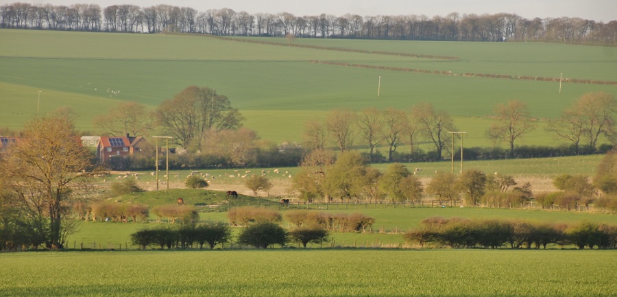 Click for the gallery page to add comments and vote (PID:164217) Wold Newton