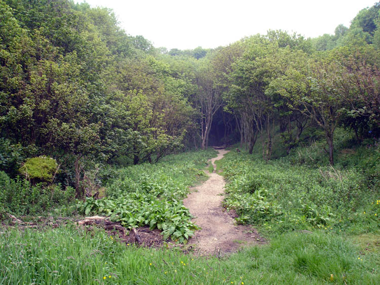 Click for the gallery page to add comments and vote (PID:23277) Dane's Dyke