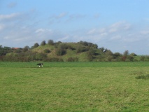 Skipsea mound