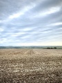 Paddock Hill - PID:253519