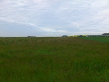 Maidens Grave - PID:109225