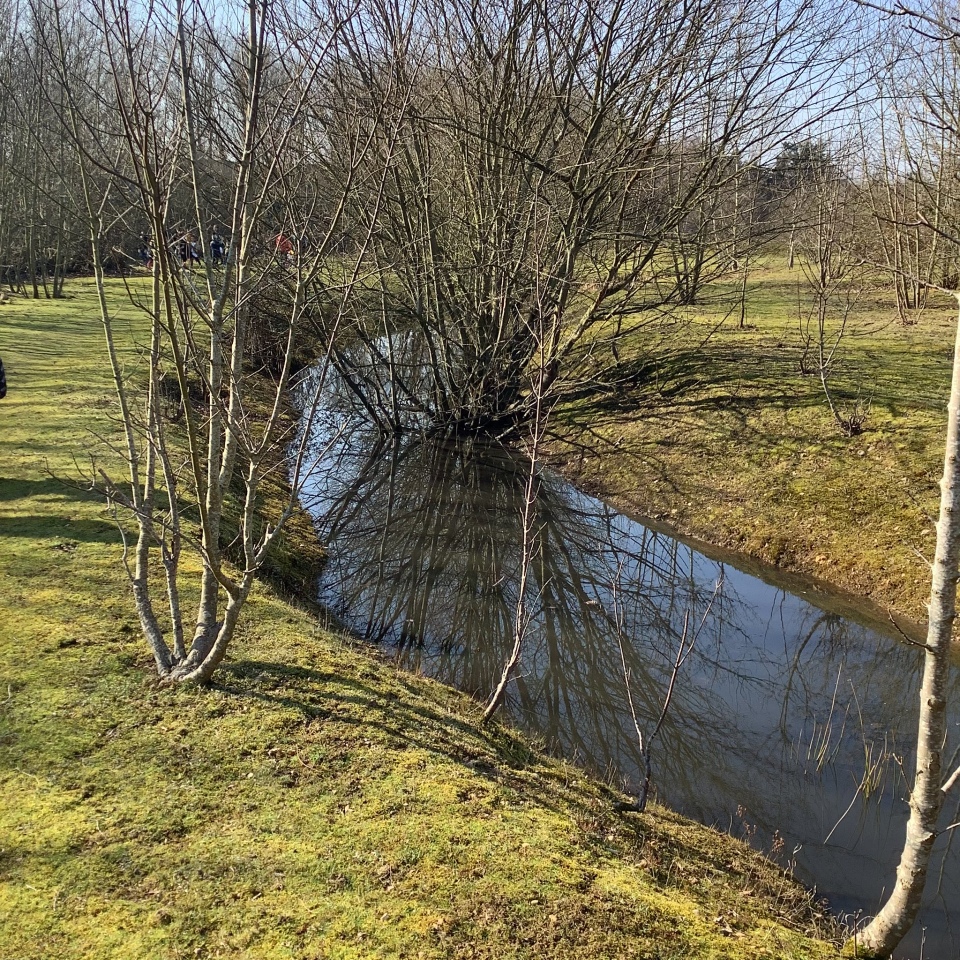 Springfield Lyons Enclosure, Essex | Megalithic Portal