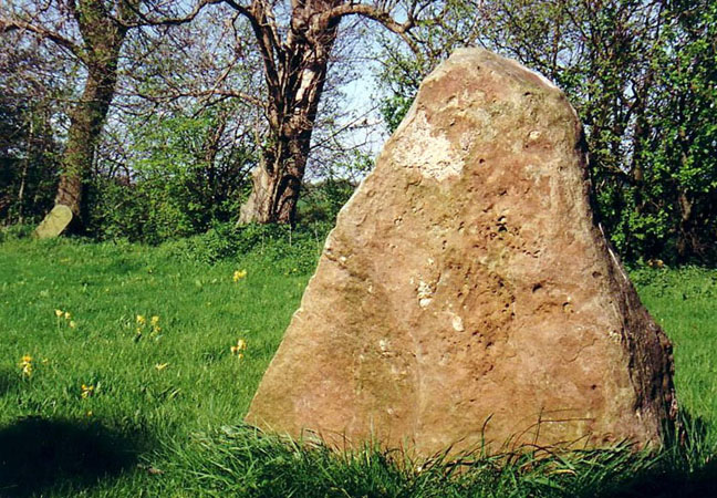 Beauchamp Roding Puddingstone